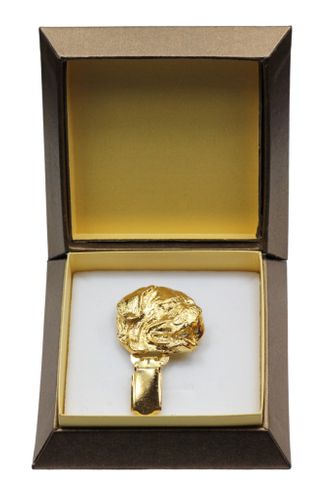 Mastif Francuski - klips - 2601 na Arena.pl