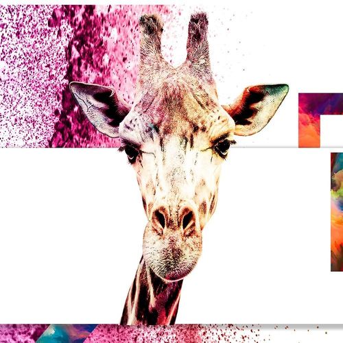 Deco Panel, Ciekawska żyrafa 60x40 na Arena.pl