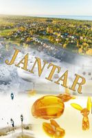 Jantar VIII – magnes