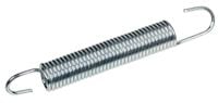 Sprężyna CEDRUS transporter TR300G 131305