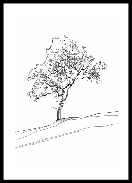 Plakat 30x45cm Drzewo w Zarysie zdjęcie 3