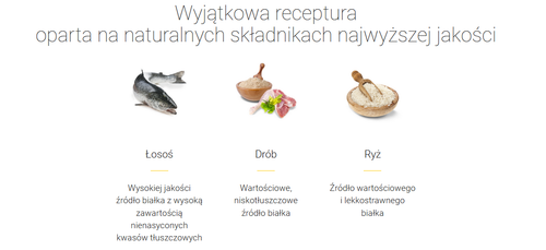 josera minette kitten 2kg na Arena.pl