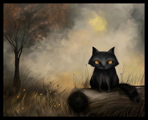 Plakat 50x40cm Czarny Kot na Arena.pl