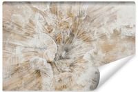 Fototapeta Ścienna KWIAT Abstrakcja Beton Mural Styl Vintage 135cm x 90cm