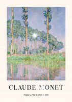 Plakat 84,1x59,4 A1 Claude Monet staw reprodukcja art sztuka BOHO 30 WZORÓW