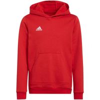 Bluza adidas Entrada 22 Hoody Jr H57566 116 cm
