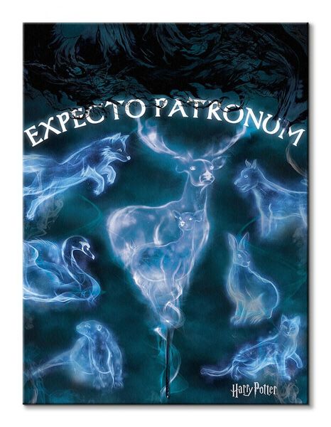 Harry Potter (Patronus) - obraz na płótnie 60x80 cm zdjęcie 2