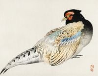 Plakat 65x50cm Peregrine Falcon, Kōno Bairei Japoński Vintage do Salonu