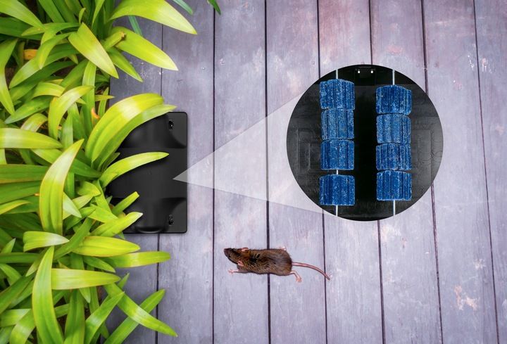 ZESTAW STACJA DERATYZACYJNA NA TRUTKĘ NA MYSZY x5 zdjęcie 4