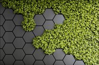 Tło PRODUKTOWE kulinarne Flat Lay na bloga insta