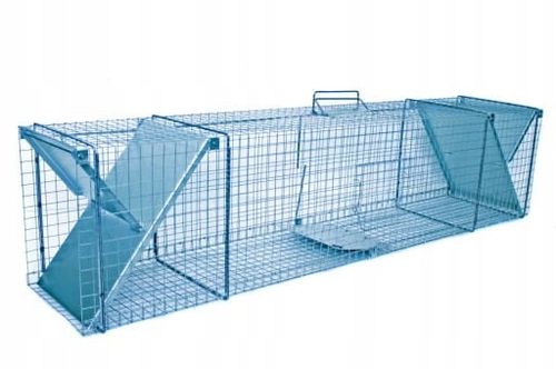 żywołapka pułapka na kuny, koty, lisy super szybka na Arena.pl