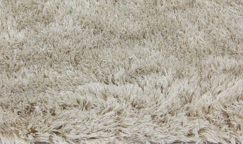 MIĘKKI PLUSZOWY DYWAN ANTYPOŚLIZGOWY PLUSZ 120X170 DO PRANIA na Arena.pl