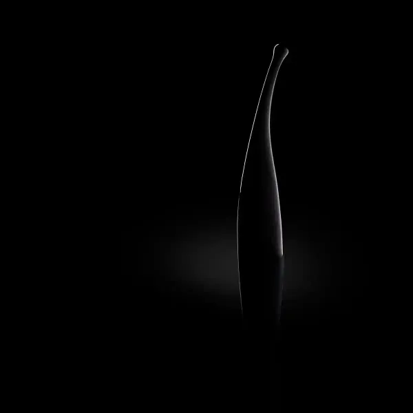 Wibrator - Senzi Vibrator - Black zdjęcie 5