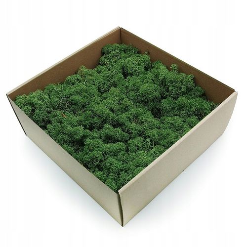 500g MECH CHROBOTEK reniferowy zielony NORWESKI na Arena.pl