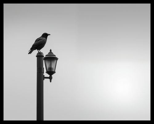 Plakat 50x40cm Samotny Postój Kruka na Arena.pl