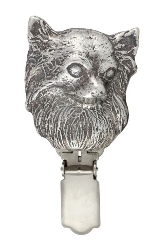 Chihuahua - klips - 243 na Arena.pl