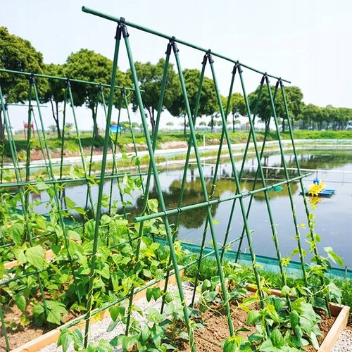 Podpora z siatką do ogórków i pomidorów 180 cm - Stelaż do roślin pnących na Arena.pl