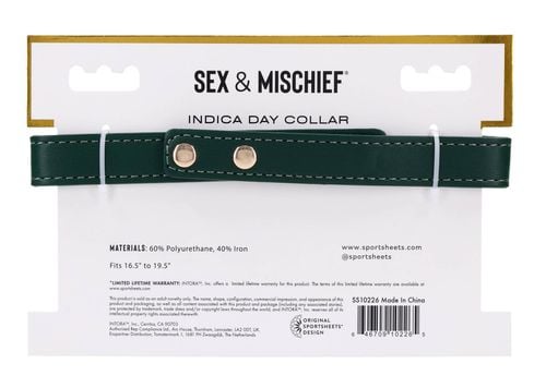 Day Collar na Arena.pl