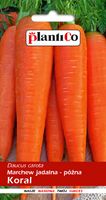 NASIONA Marchew Jadalna Koral 5g PLANTICO 403109