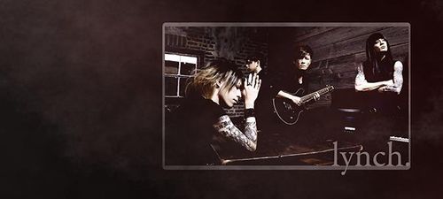 Kubek Lynch na Arena.pl