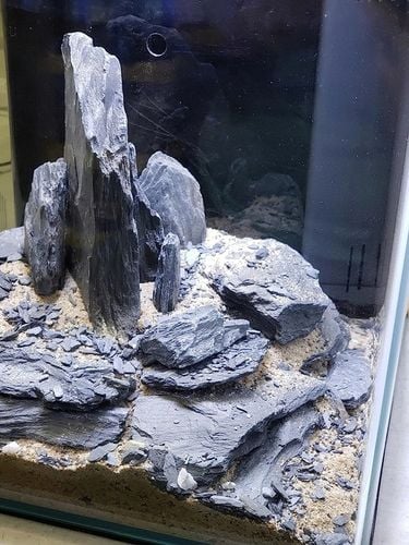 Aranżacja do Akwarium Łupek Drzewiasty Czarny 5kg na Arena.pl