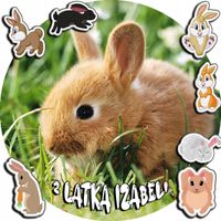 OPŁATEK NA TORT 20CM - KRÓLIK KRÓLICZEK + IMIĘ + ! 15CM 18CM