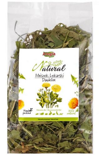 Alegia Mniszek lekarski 90g na Arena.pl