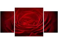 80X40CM RÓŻA UKOCHANEJ TRÓJ OBRAZ