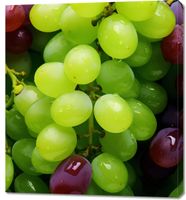 product-compare-59485414