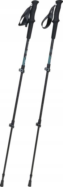 KIJE TREKKINGOWE Access Lite Carbon Rockland zdjęcie 10