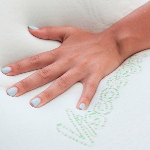 Poduszka Termoelastyczna Soja Cecotec na Arena.pl