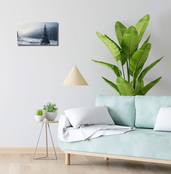 Obraz 40x20cm Samotna Choinka zdjęcie 2