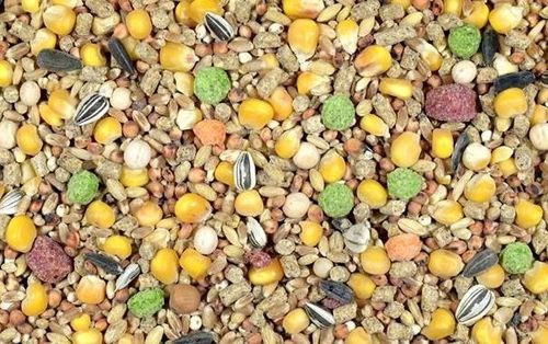 Naturalna karma dla pawi 10 kg PW Kampol na Arena.pl