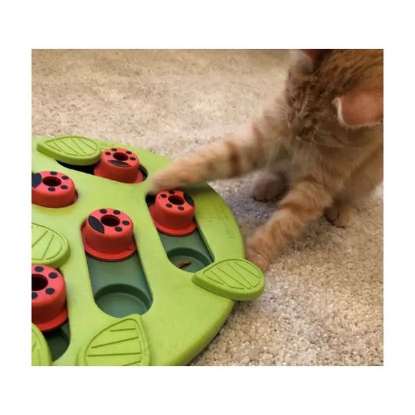 Nina Ottosson Cat Buggin' Out Puzzle & Play zdjęcie 13