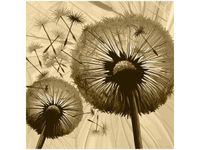 product-compare-58644514