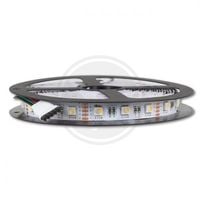 TASMA LED RGBW 12V 19.2W/M 5M SMD 5050 CZUJNK RGB BIALY IP20
