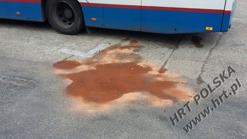 Sorbent PROFI-SORB Super Plus - 5Kg / 10L - Atest na Arena.pl