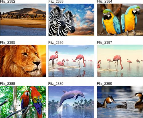 FOTOTAPETA NATURA ZWIERZĘTA LAMPARTY na Arena.pl