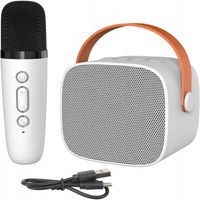 ZESTAW DO KARAOKE BEZPRZEWODOWY MINI GŁOŚNIK BLUETOOTH MIKROFON DLA DZIECI