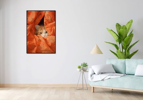 Plakat 67,5x100cm Ukryty Kot na Arena.pl