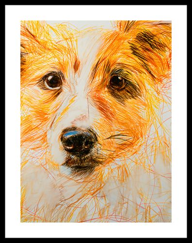 Plakat 60x80cm Uroczy Gość na Arena.pl