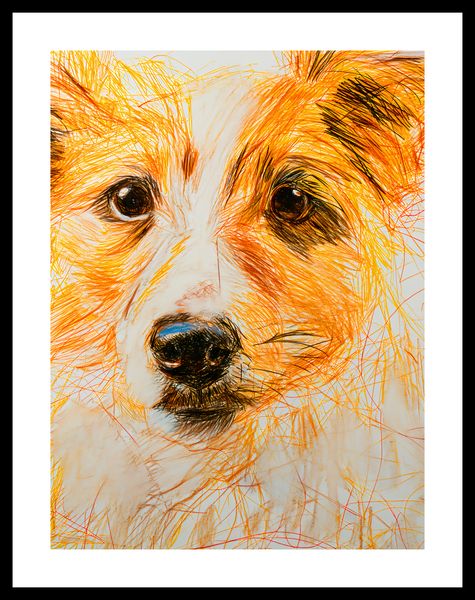 Plakat 60x80cm Uroczy Gość zdjęcie 3