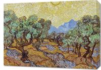 Obraz 70x50cm Olive Trees, Van Gogh Vintage do Salonu