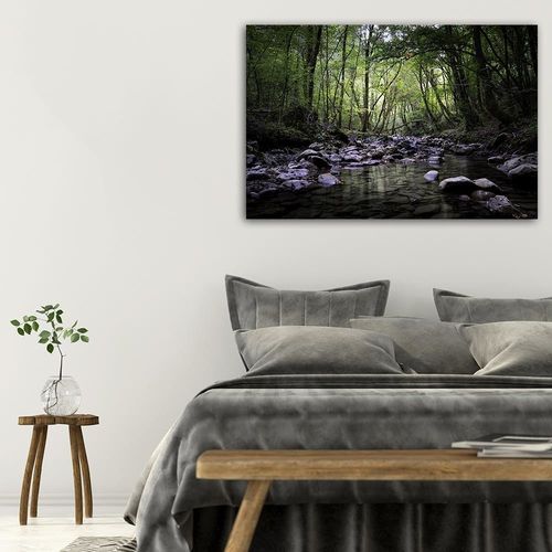 Deco Panel, Leśny strumyk 60x40 na Arena.pl