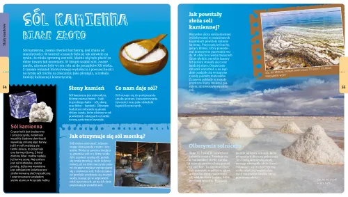 Radosław Żbikowski Opowiada O Skałach I Minerałach na Arena.pl