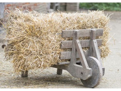 Słoma legowisko ściółka budy psa królik 10kg xxl na Arena.pl