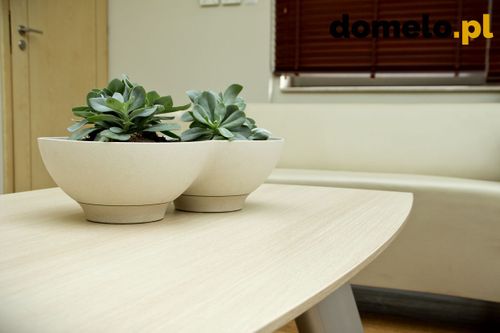 DONICZKA PLANET 440 A3 na Arena.pl