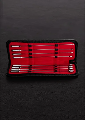 steel zestaw do sondowania - 8 elementow, stal nierdzewna, etui na Arena.pl