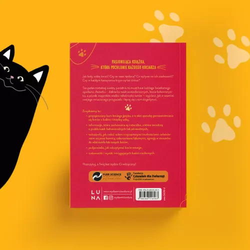 Tajemnice Świata Kotów na Arena.pl