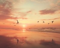 Plakat 76x60,5cm Spokojna Przystań